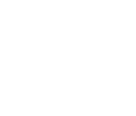 Professional Services