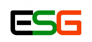 Everseiko Group